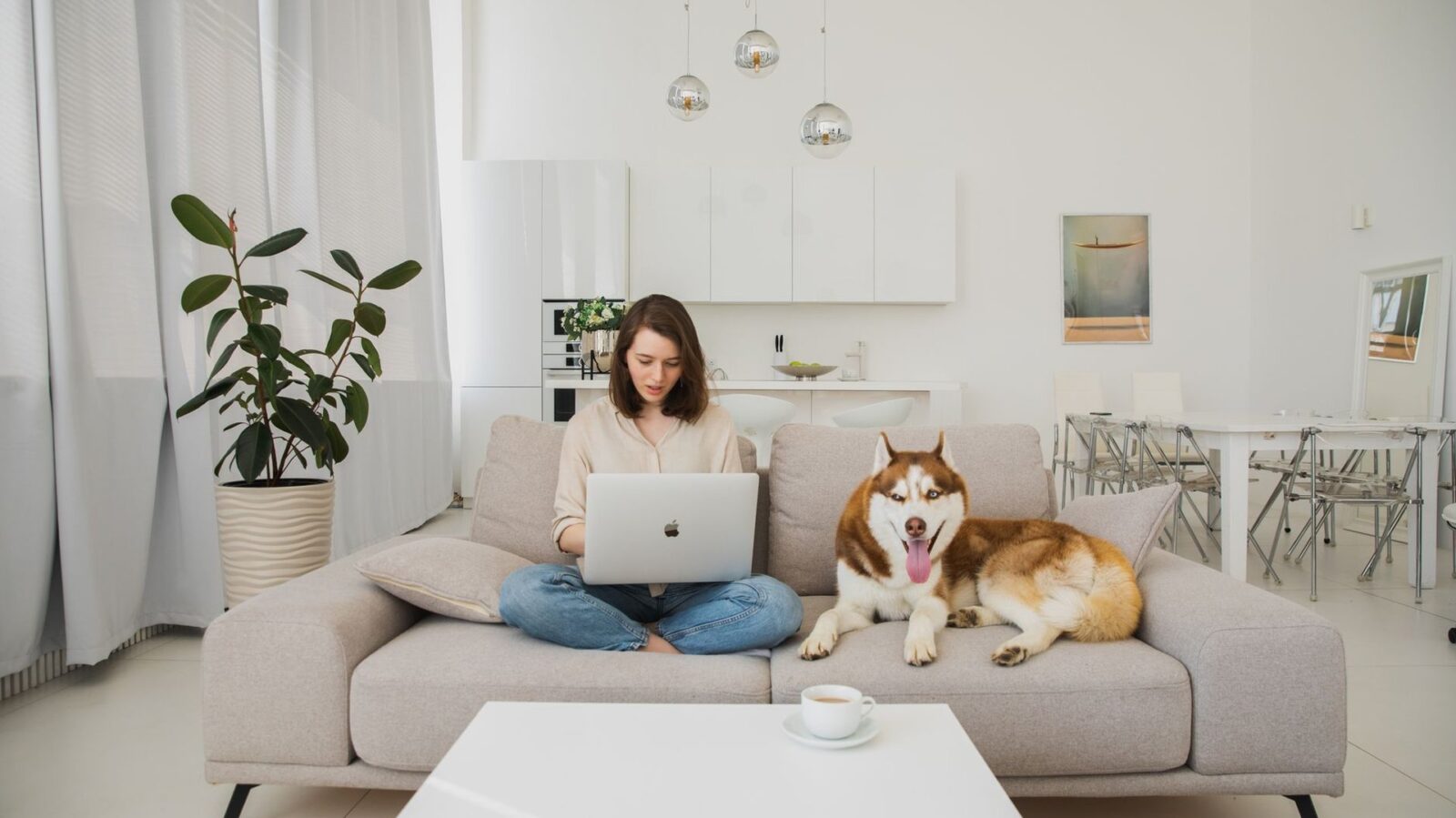 Hund im Homeoffice: Fütterungsroutine bei flexibler Arbeit